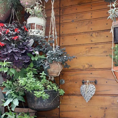 Antica Dimora Julia Дом отдыха Спелло