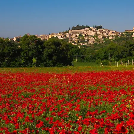 Antica Dimora Julia Дом отдыха *