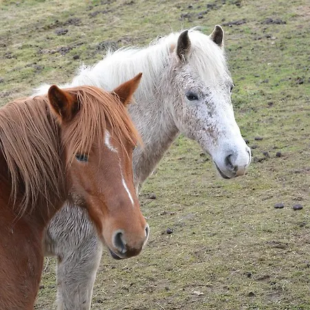 Antica Dimora Julia Дом отдыха *